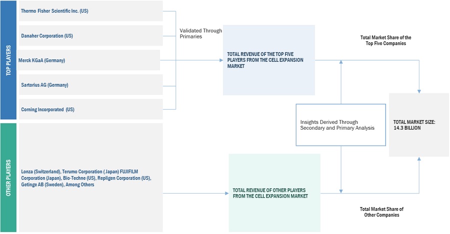 Cell Expansion Market Size, and Share 