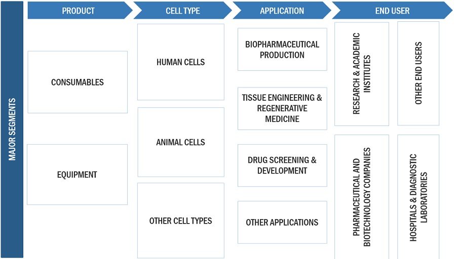 Cell Expansion Market Ecosystem