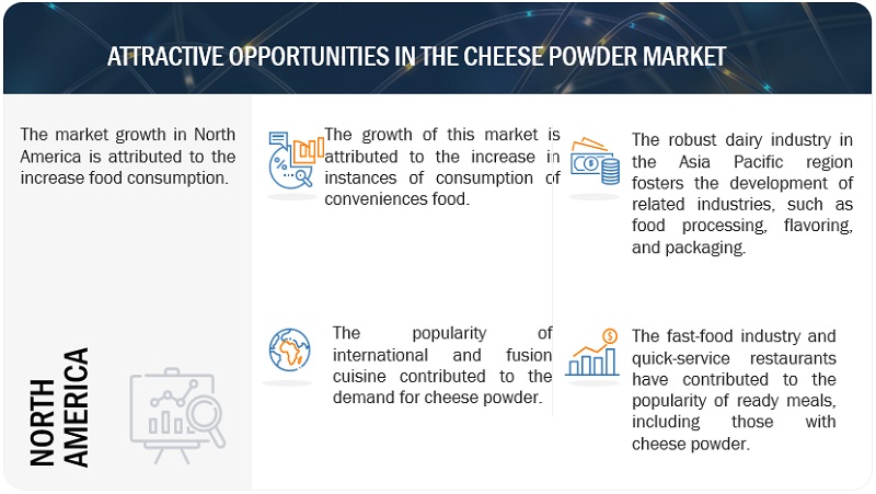 Cheese Powder Market  