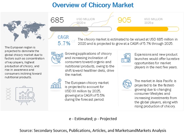 Chicory Market Size and Share |2020-2025| MarketsandMarkets