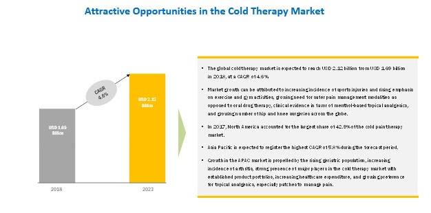 Cold Pain Therapy Market, by Region, 2023