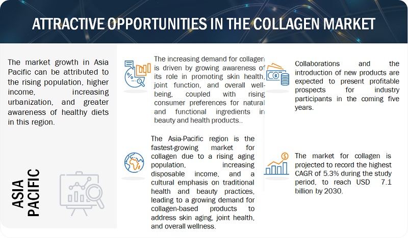 Collagen Market Opportunities