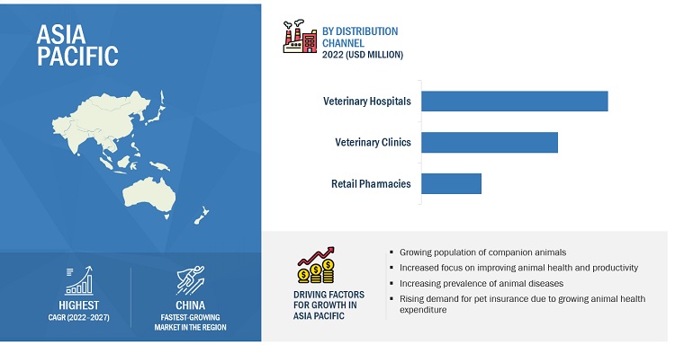 Companion Animal Pharmaceuticals Market by Region