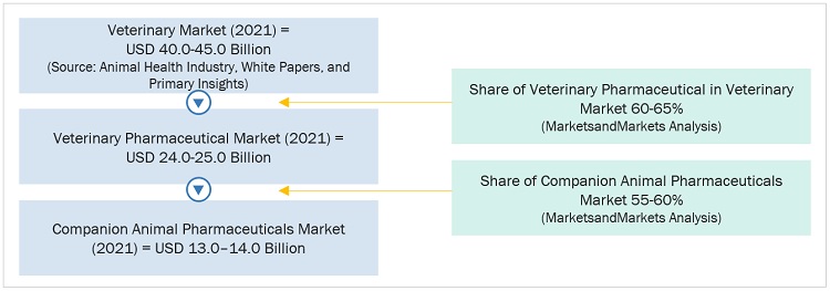 Companion Animal Pharmaceuticals Market Size, and Share 