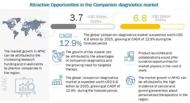 Companion Diagnostics Market Size, Share, Growth And Trend Analysis Report