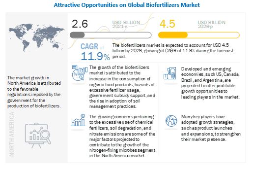 Biofertilizers Market