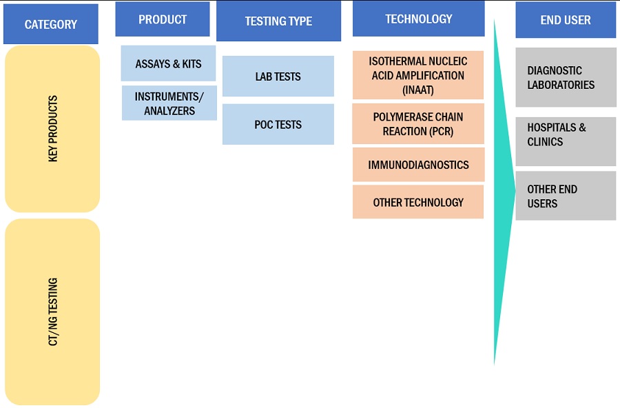 CT/NG Testing Market Ecosystem