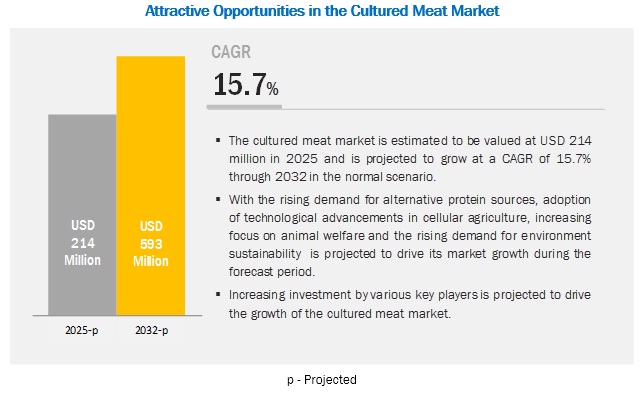 Cultured Meat Market