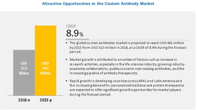 Custom Antibody Market