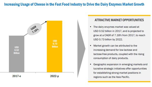 Dairy Enzymes Market