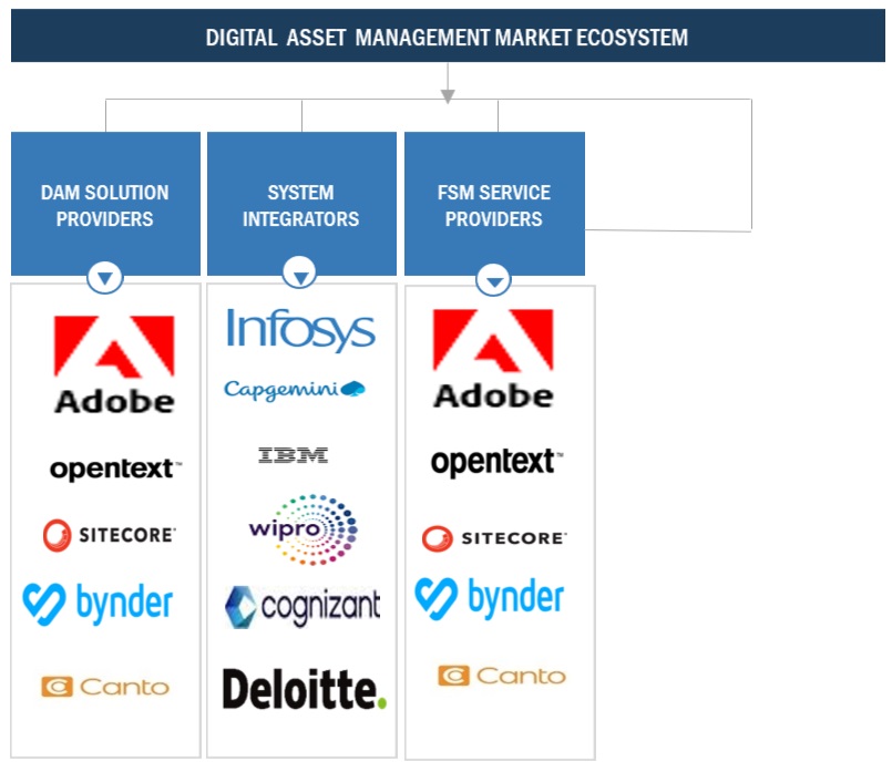 Top Companies in Digital Asset Management Market