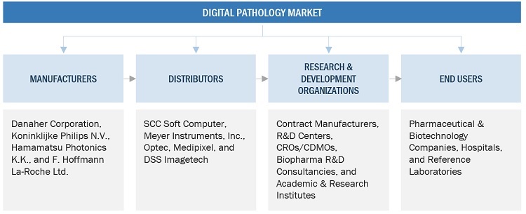 Digital Pathology Market Ecosystem