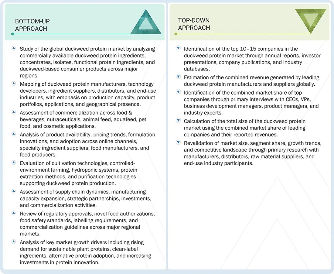 Duckweed Protein Market Top Down and Bottom Up Approach Duckweed Protein Market Top Down and Bottom Up Approach