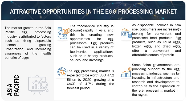Egg Processing Market Opportunities