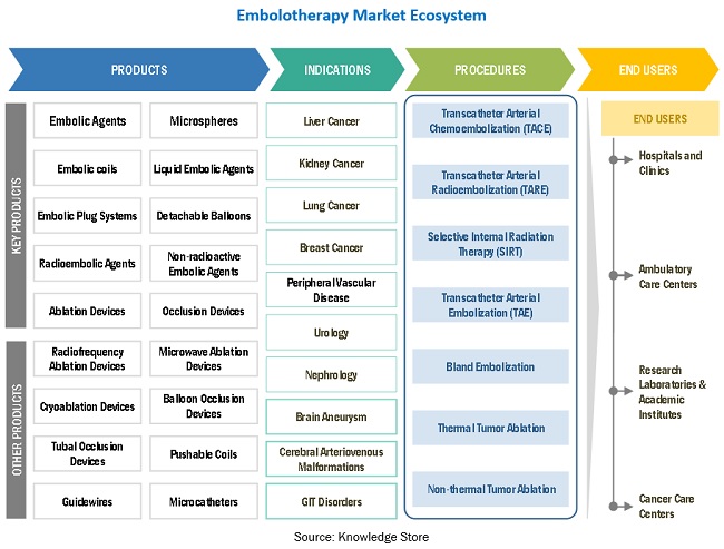 Embolotherapy Market Ecosystem