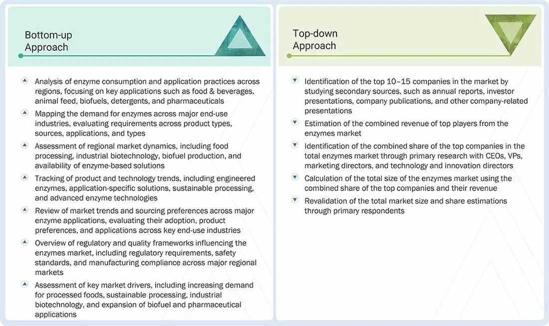 Enzymes Market Top Down and Bottom Up Approach