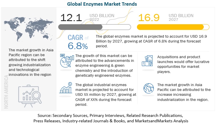 Enzymes Market