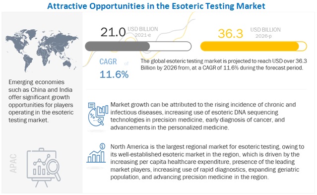 Esoteric Testing Market 