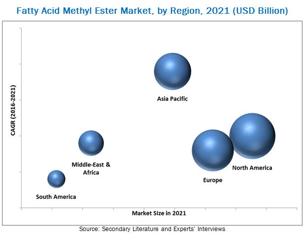 Fatty Acid Methyl Ester Market