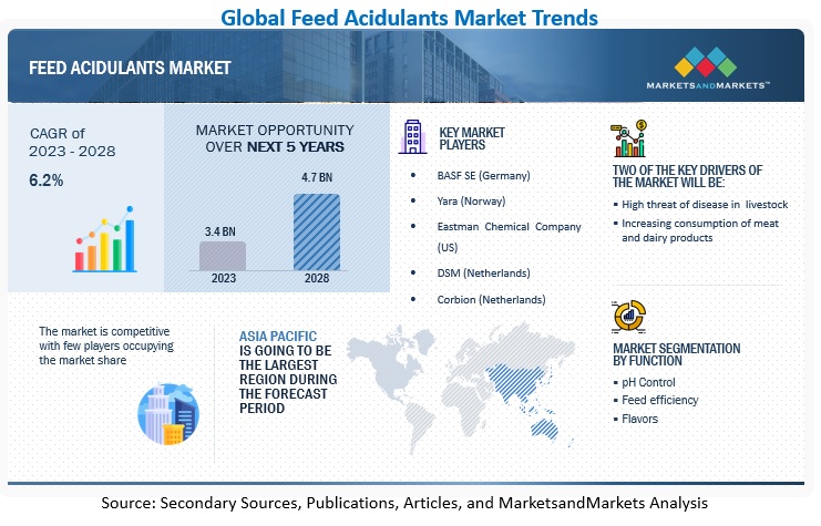 Feed Acidulants Market