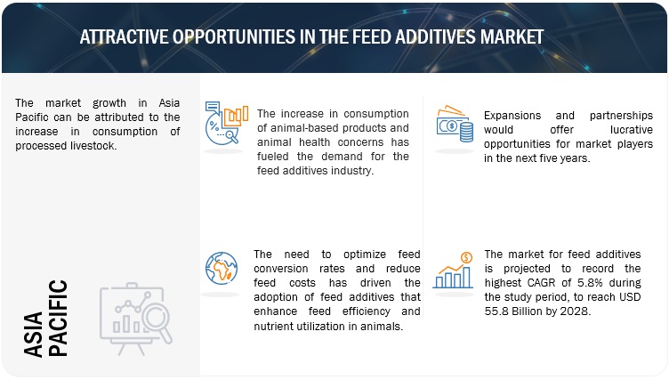 Feed Additives Market  