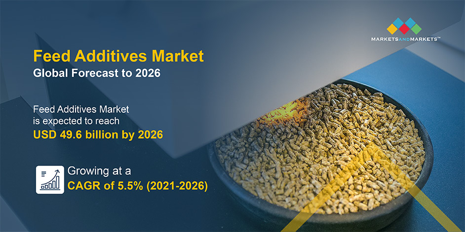 Feed Additives Market Size, Revenue, Challenges