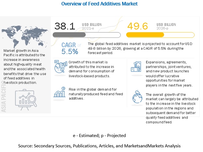 Feed Additives Market