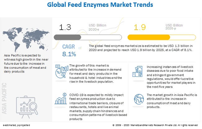 Feed Enzymes Market