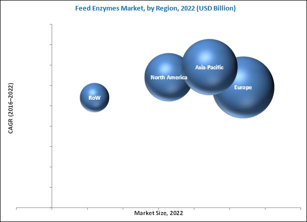 Feed Enzymes Market
