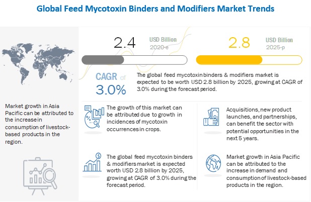 Feed Mycotoxin Binders and Modifiers Market