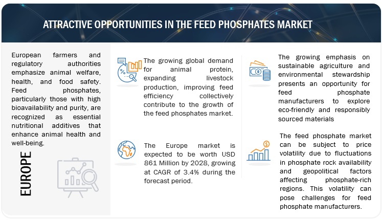 Feed Phosphates Market 
