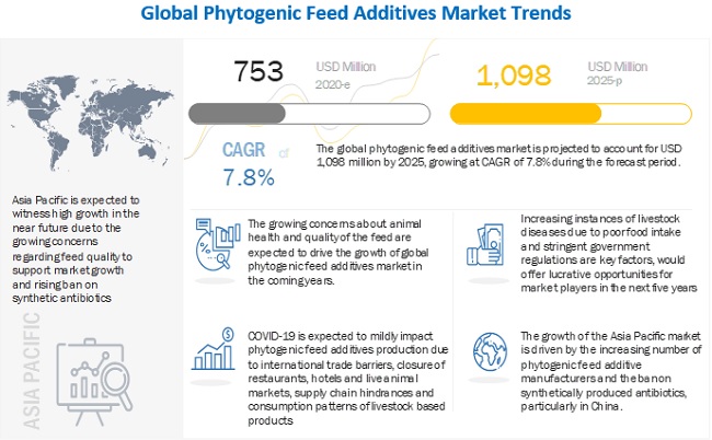 Phytogenic Feed Additives Market