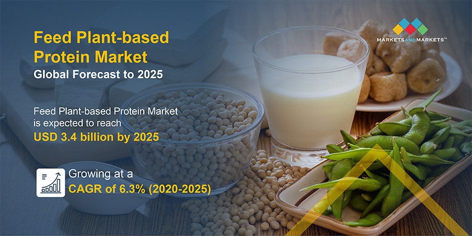 Feed Plant-based Protein Market Overview
