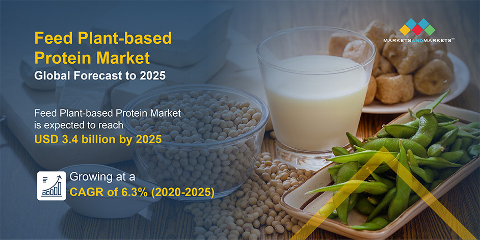 https://www.marketsandmarkets.com/Images/feed-plant-based-protein-market1.jpg