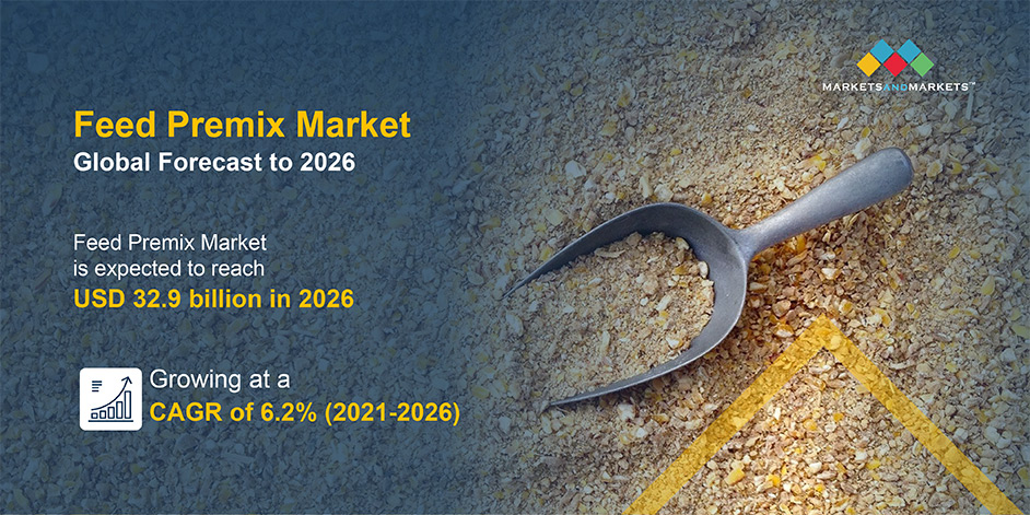 Feed Premix Market