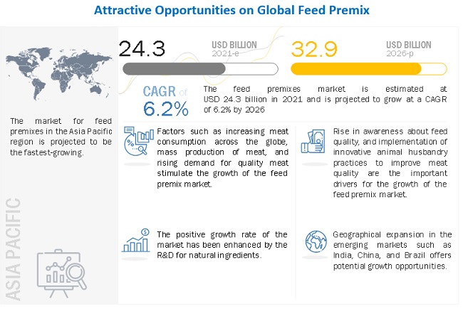 Feed Premix Market