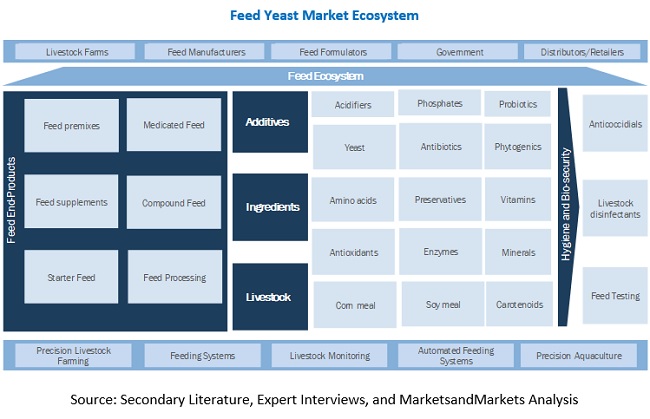 Feed Yeast Market Size, Share, Global Trends and Insights |  MarketsandMarkets