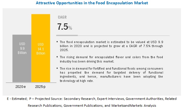 Food Encapsulation Market
