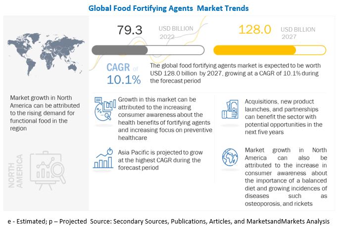 Food Fortifying Agents Market 