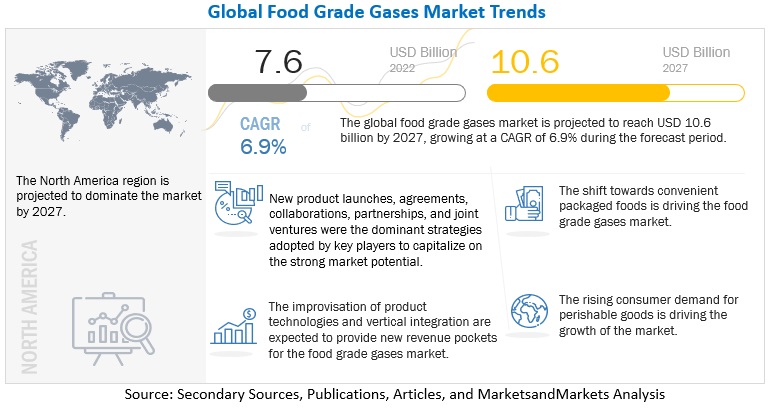 Food Grade Gases Market