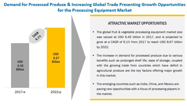 Fruit & Vegetable Processing Enzymes Market