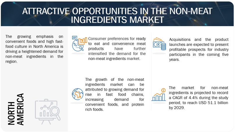 Functional Non-Meat Ingredients Market