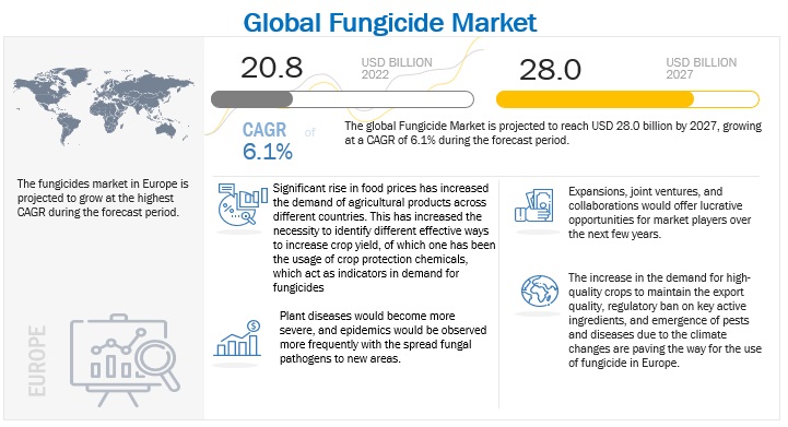 Fungicide Market