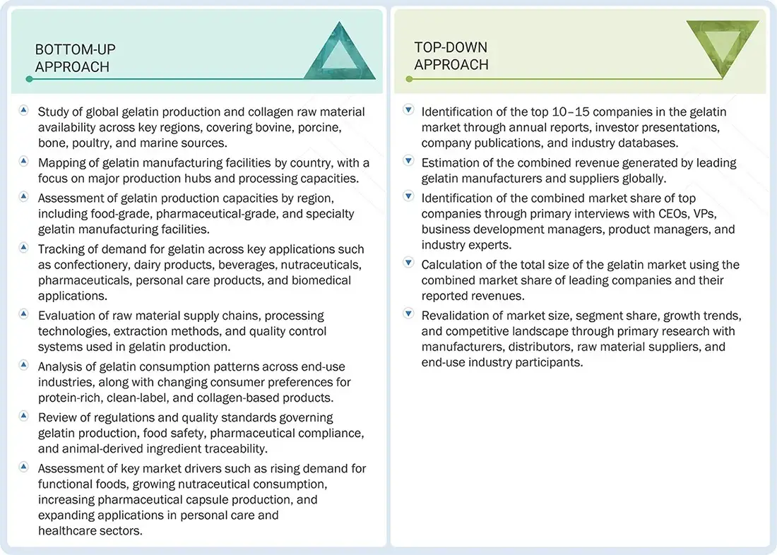 Gelatin Market Top Down and Bottom Up Approach