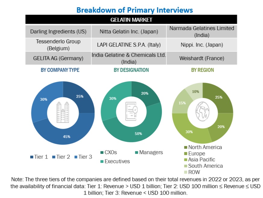 Gelatin Market Primary Research