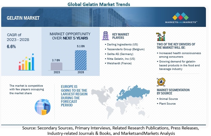 Gelatin Market Size, Share, Trends, Industry Scope, and Forecast to 2023 | MarketsandMarkets