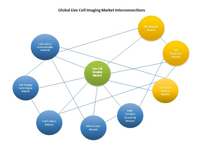 Global Live Cell Imaging Market Interconnections