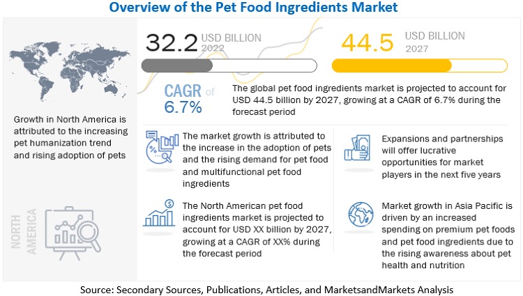 cat food market