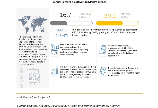 Global Seaweed Cultivation Market Trends