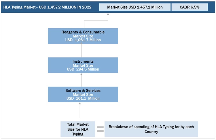 HLA Typing Market Size, and Share 